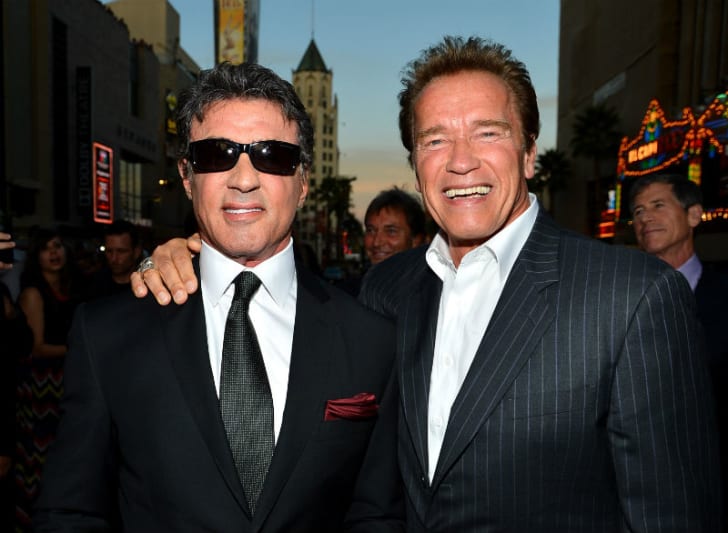 Arnold Schwarzenegger Sylvester Stallone Porn - 11 Surprising Facts About Sylvester Stallone | Mental Floss