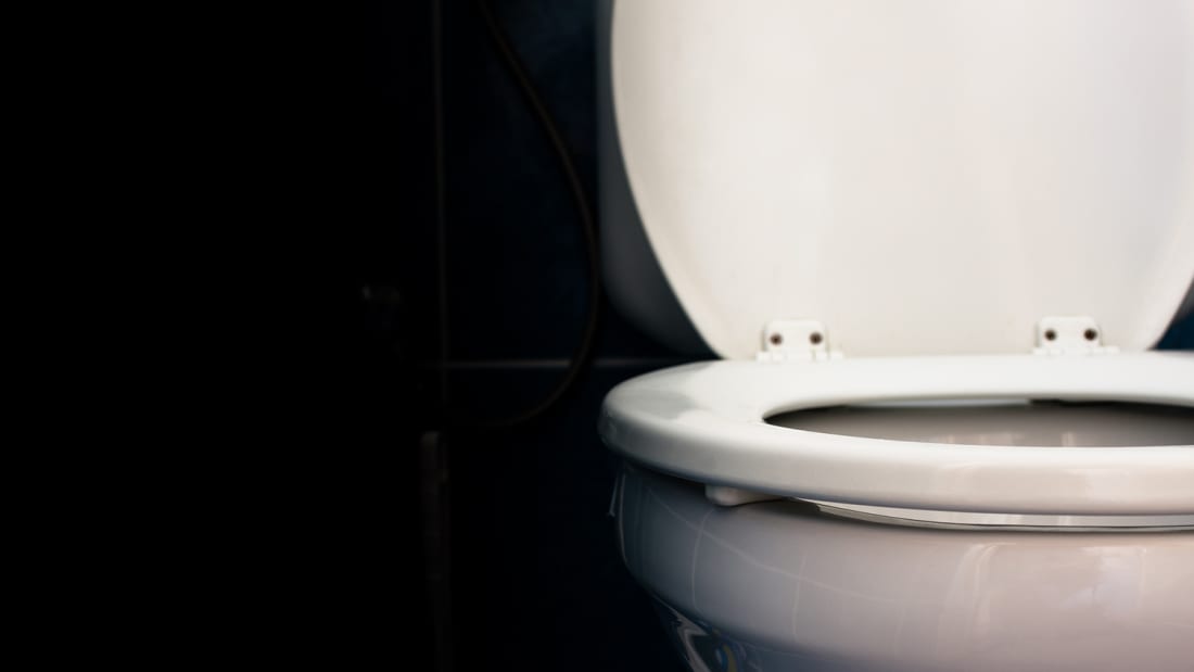 Archaeologists May Have Unearthed the Oldest Toilet in Denmark