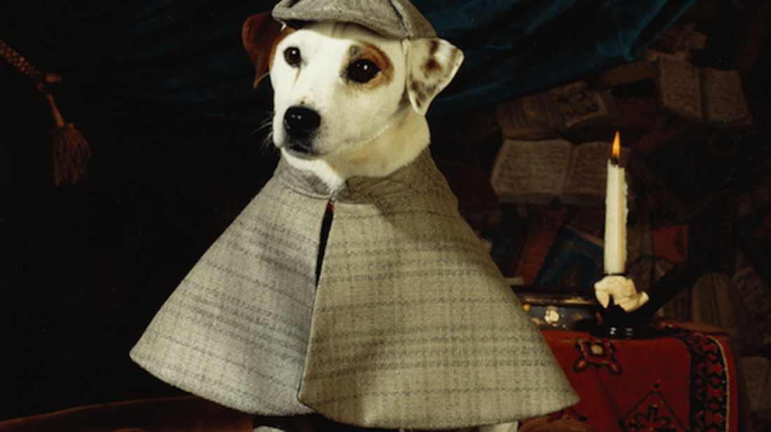 'Wishbone' TV Show Facts | Mental Floss