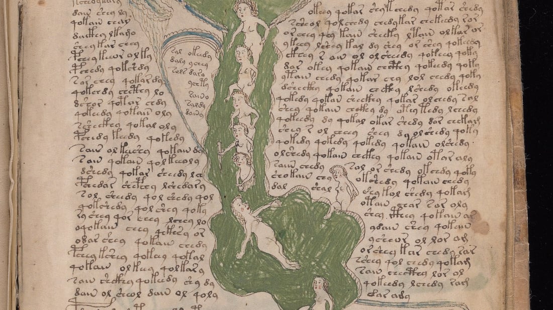 その他 THE VOYNICH MANUSCRIPT Amazon.com: The Voynich Manuscript: The Complete Edition of