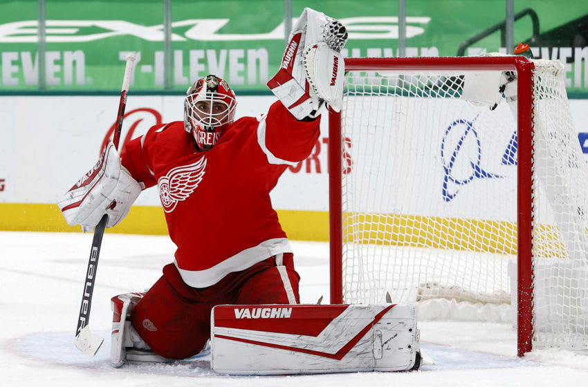 The Expansion Draft A Look at Detroit Red Wings Goalies