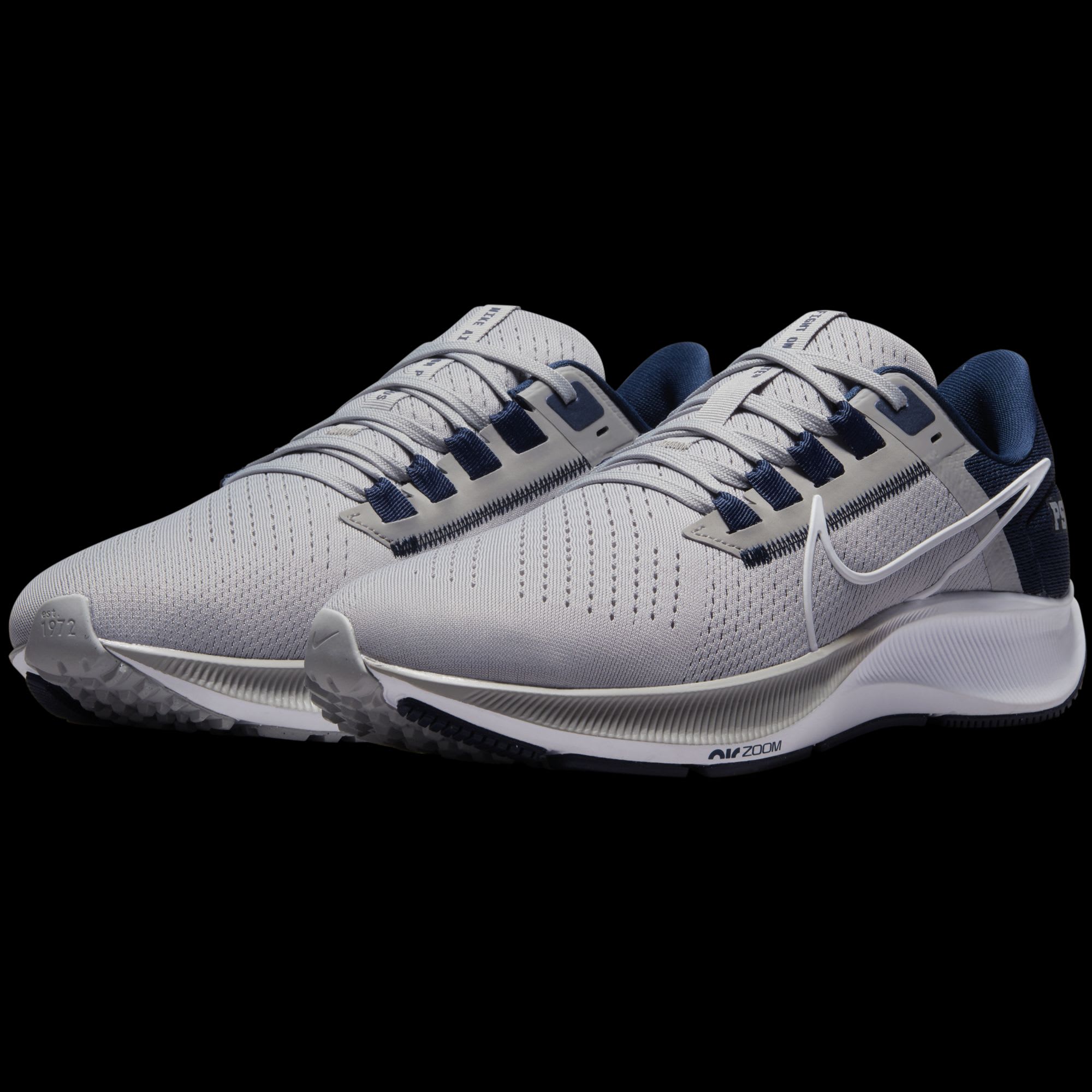 penn state pegasus 38