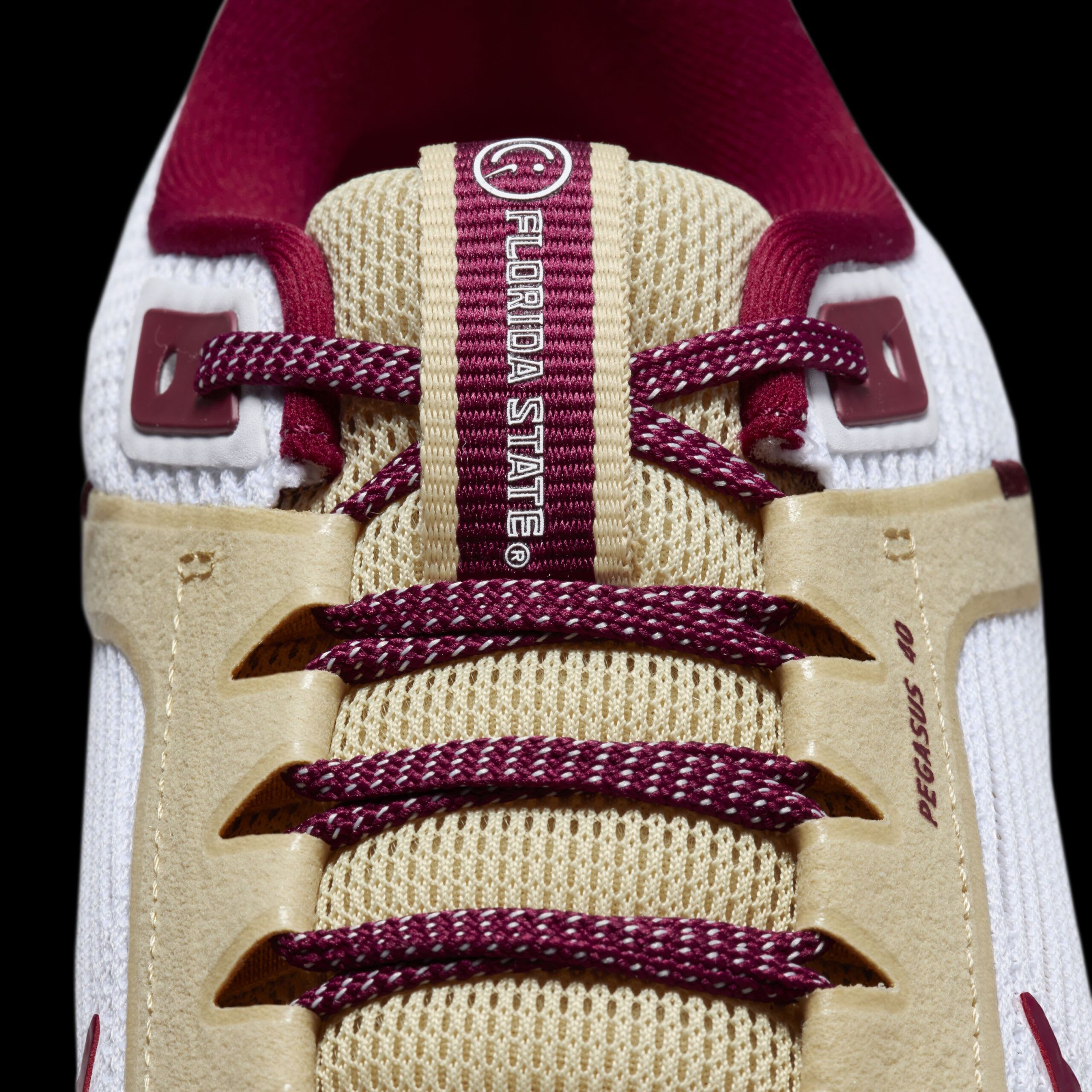 nike fsu men's shoes