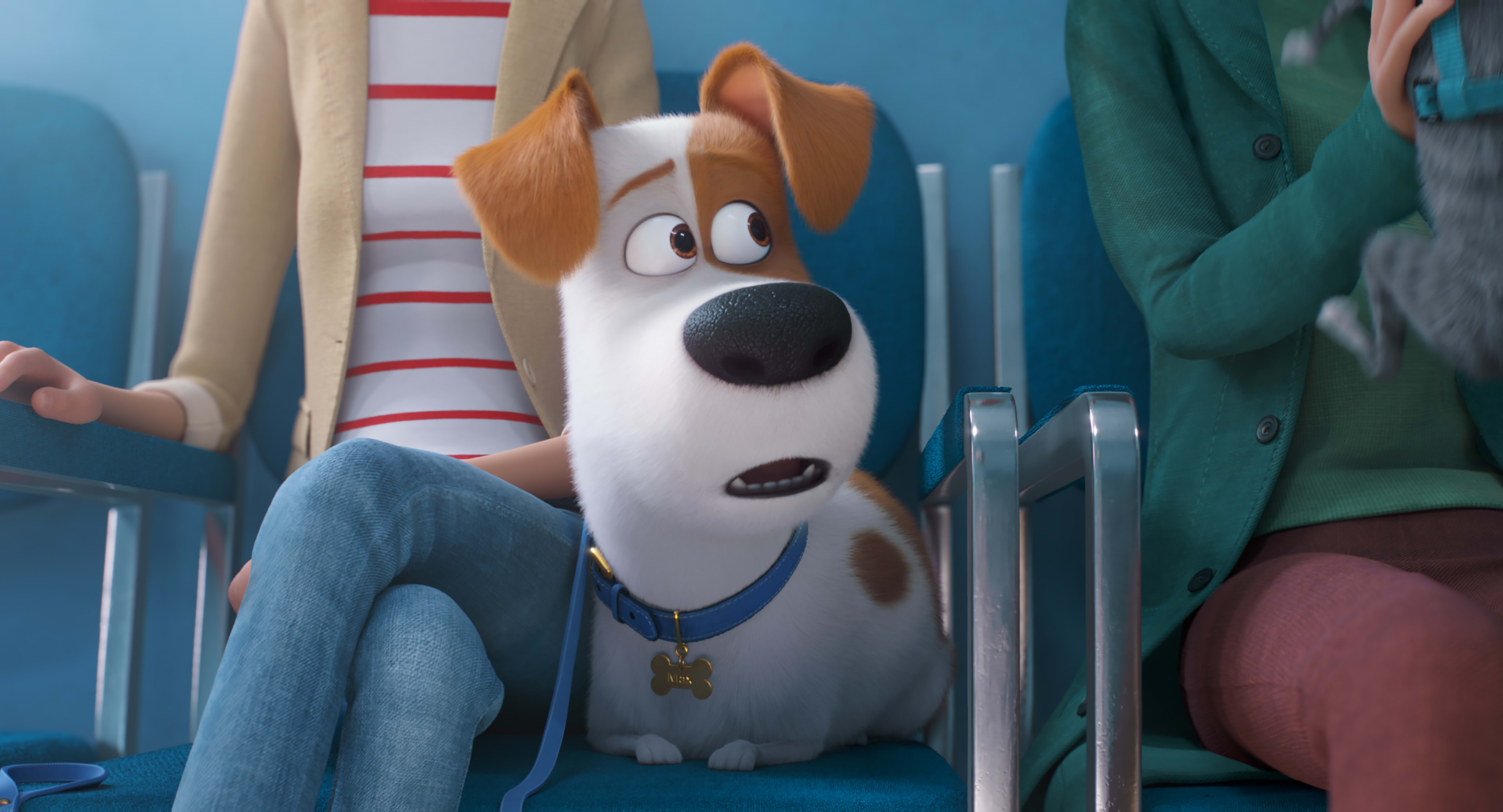 Dog cartoon movie discount