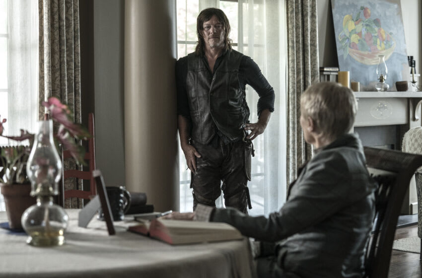 Norman Reedus Eye in the Dark print to benefit rescue cats
