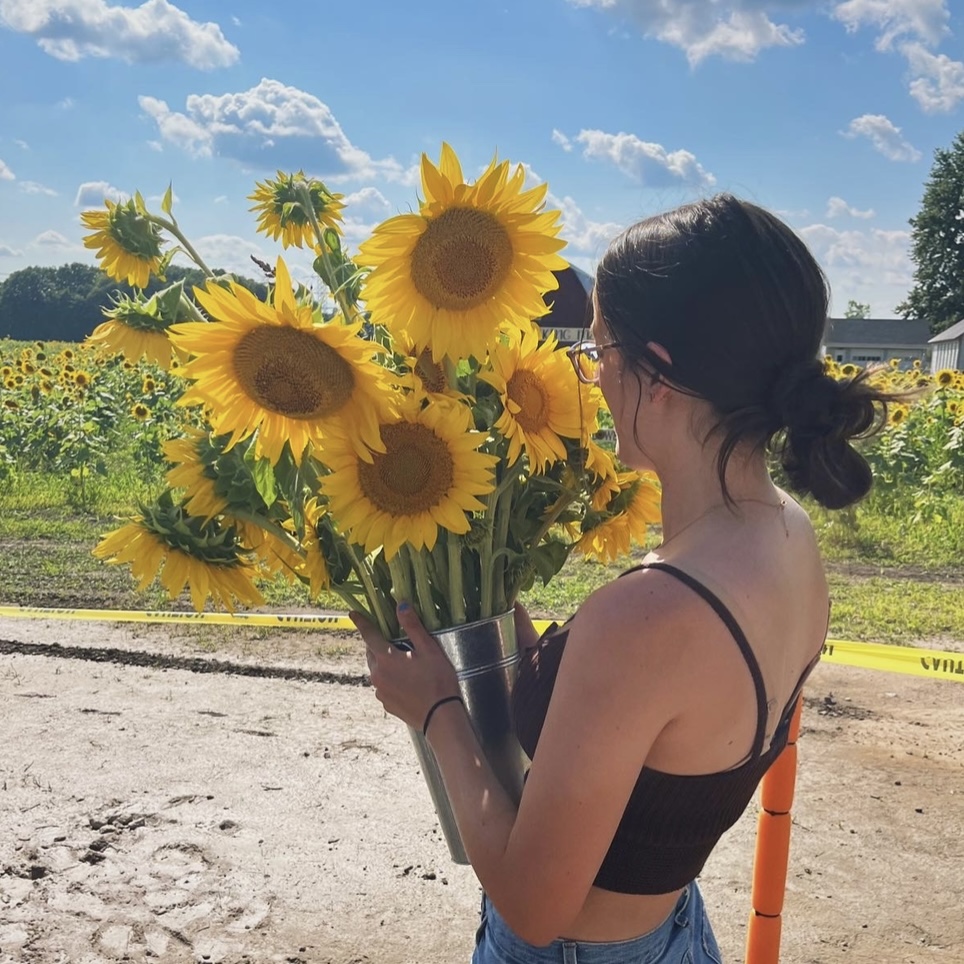 Trisha Paytas calls out Reddit for allowing targeted harrassment