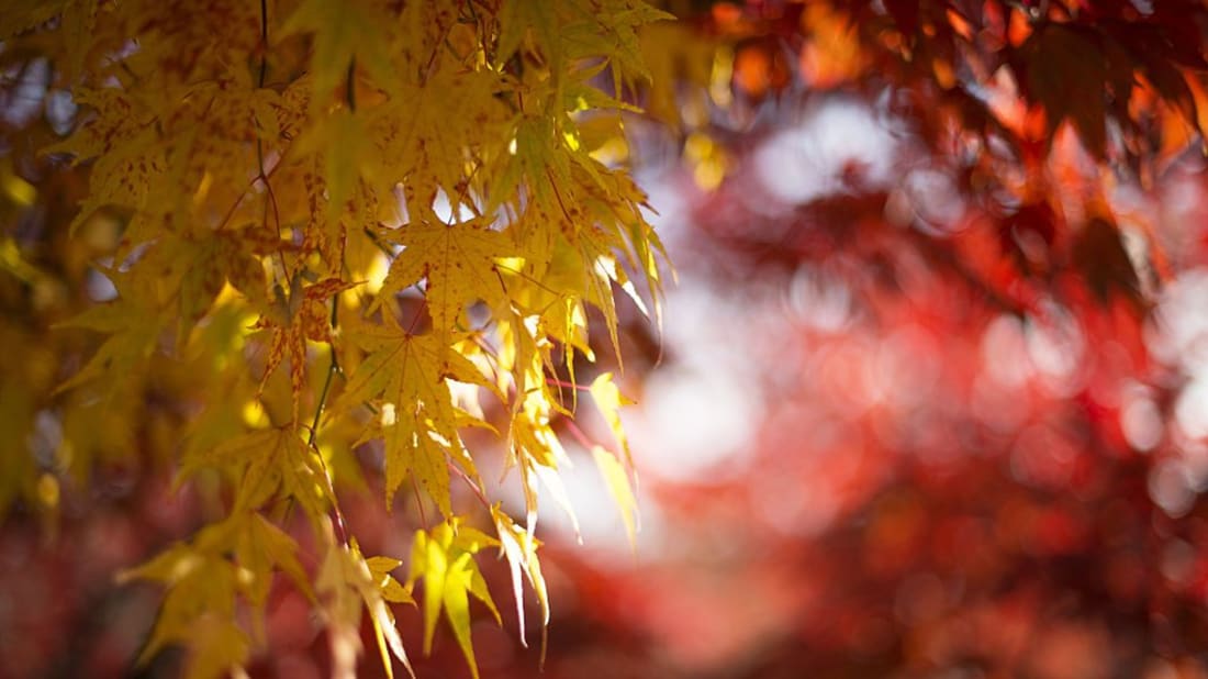 Drought Update: North Sees Gains While South Stays Parched