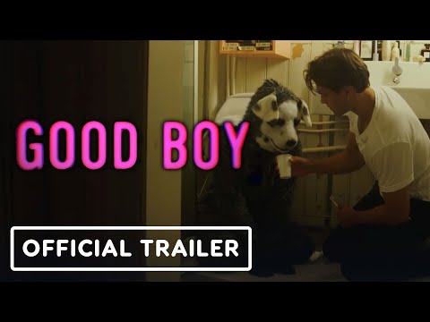 Good Boy movie ending explained: Breaking down the Norwegian horror-comedy